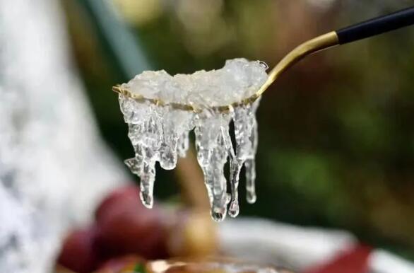 燕窩的功效與作用及營養