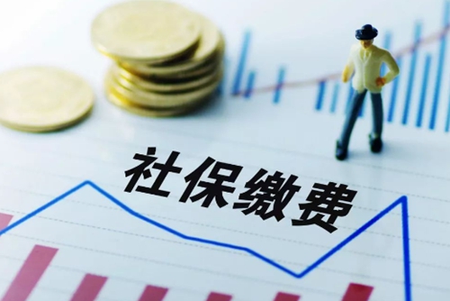 網站查詢社保繳費