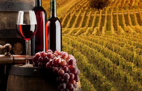 如何挑選好喝的葡萄酒