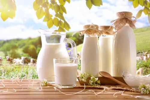 好喝的牛奶推薦