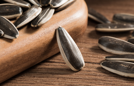 時光回味：懷舊零食引發的童年記憶