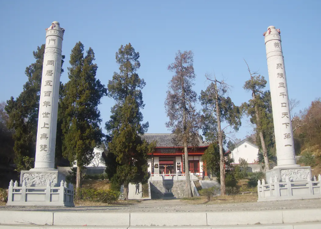 德安義門陳新媒信息中心:探索與傳承的文化之窗 德安義門陳新媒信息中心:探索與傳承的文化之窗