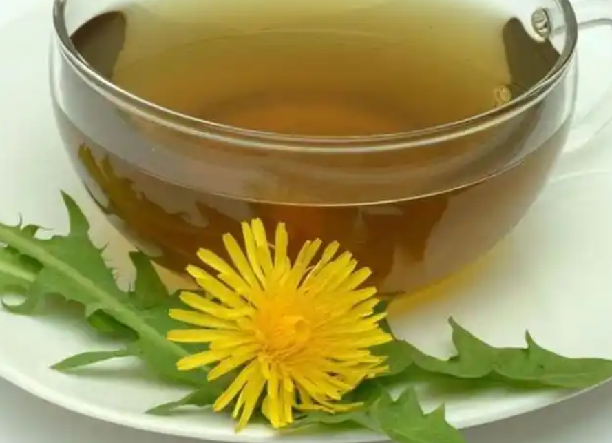 喝蒲公英水有什么好處和功效 喝蒲公英水有什么好處和功效