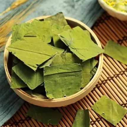 喝荷葉茶有什么好處和壞處 喝荷葉茶有什么好處和壞處