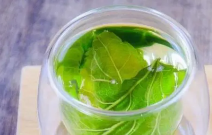 喝桑葉茶有什么好處