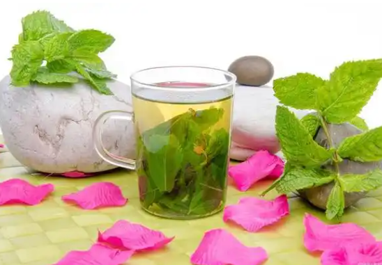 喝桑葉茶有什么好處 喝桑葉茶有什么好處