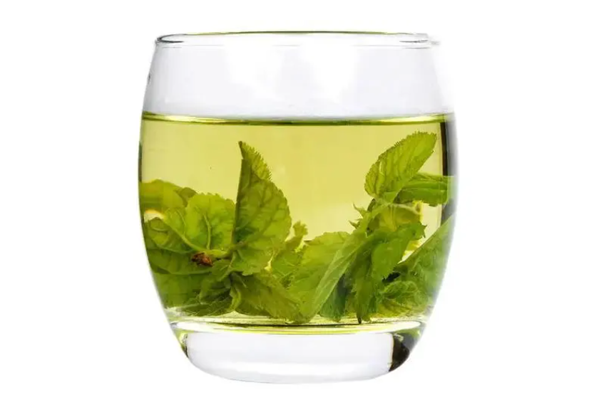 喝桑葉茶有什么好處 喝桑葉茶有什么好處