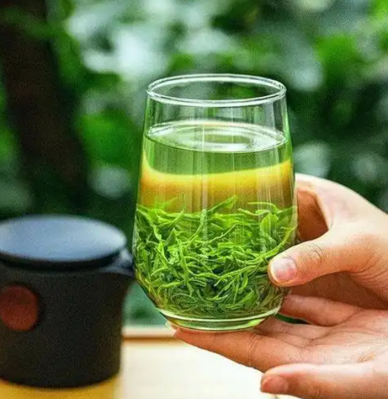 長期喝綠茶有什么好處